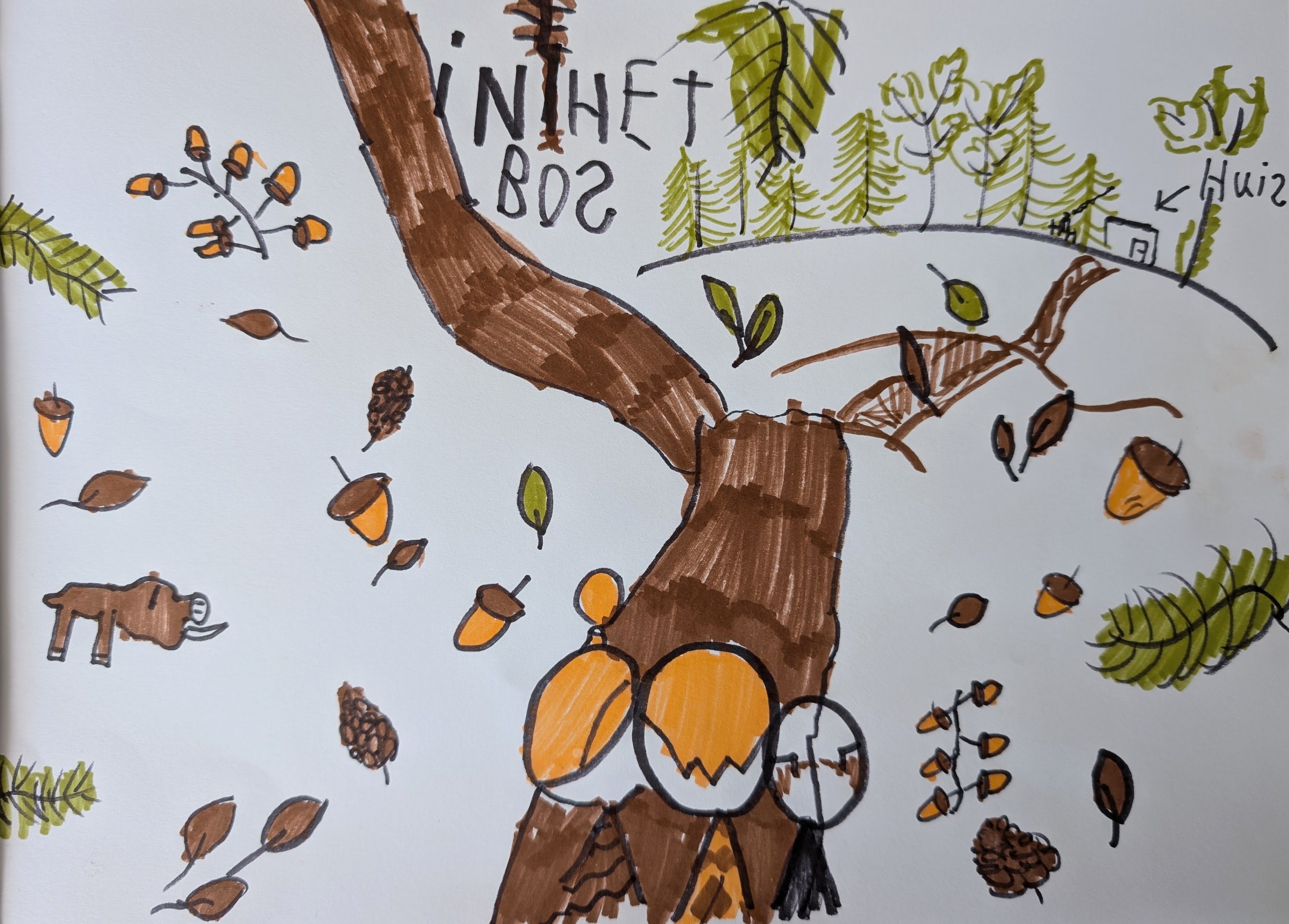 In Het Bos
